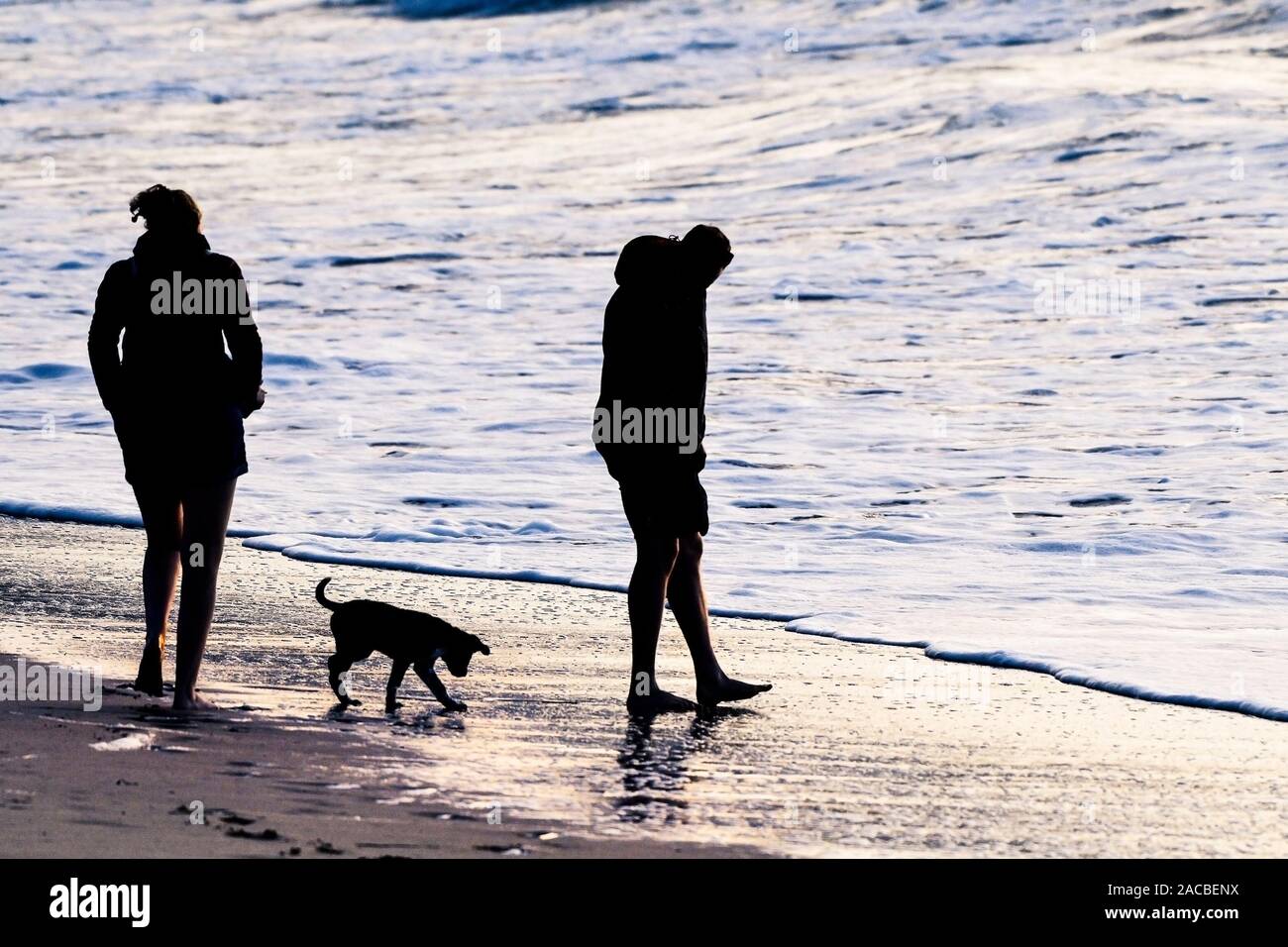 Two people and their puppy walking on Fistral Beach Newquay in Cornwall. Stock Photo