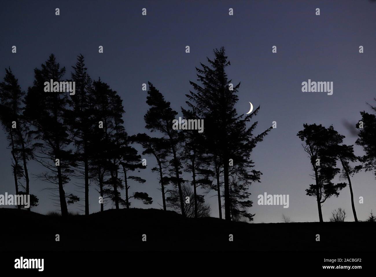 Crescent moon night sky line silhouetted trees Stock Photo - Alamy