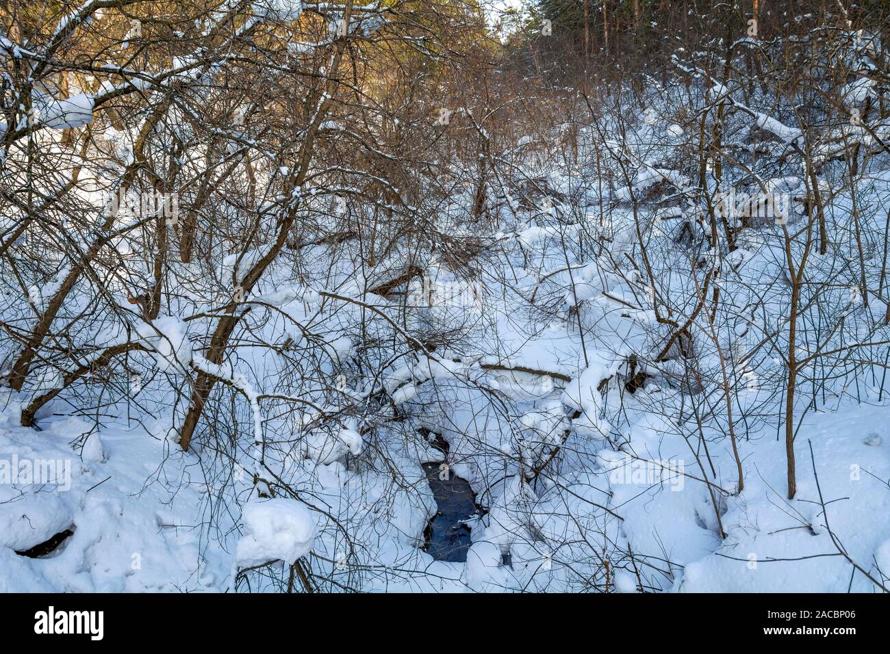 Kemerovo, ice-free stream in the forest Stock Photo