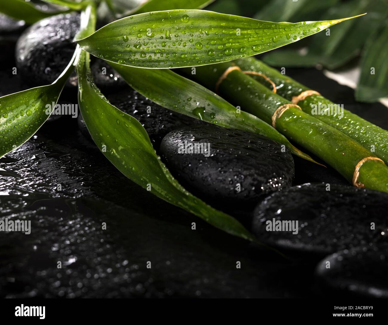 Bamboo with black zen stones on the black background. Spa concept Stock ...