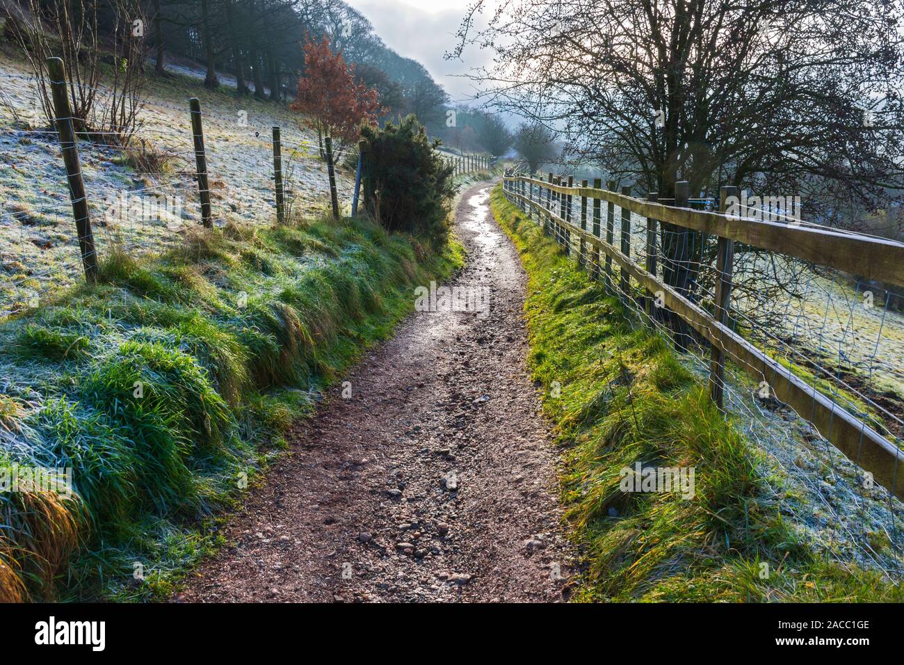 Track above Lower Cliffe farm, in the Goyt Valley, near Strines, Greater Manchester, England, UK Stock Photo