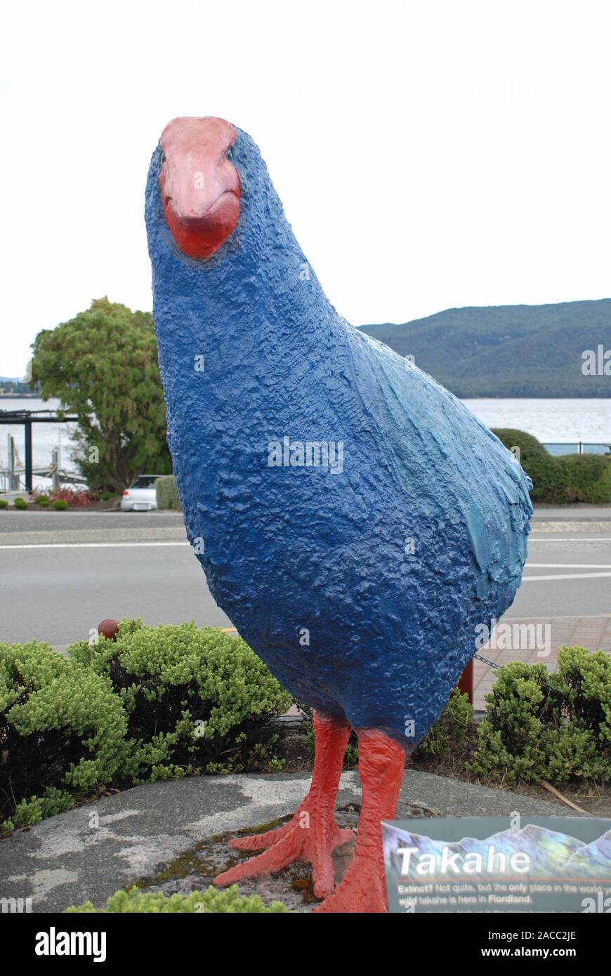 Takahe statue, Te Anau, Fiordland National Park Stock Photo