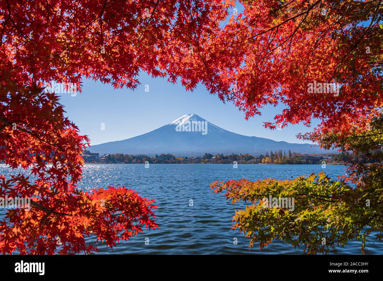 Landscape colorful autumn season and mountain Fuji at lake Kawaguchiko in day time. Frame composition. Stock Photo