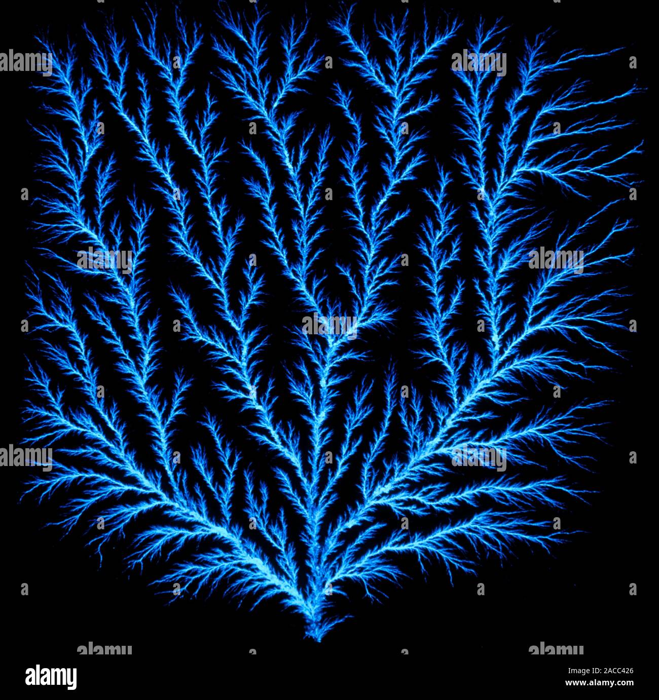 An 'electron tree' produced in a block of plastic (15 cm square by 2.5