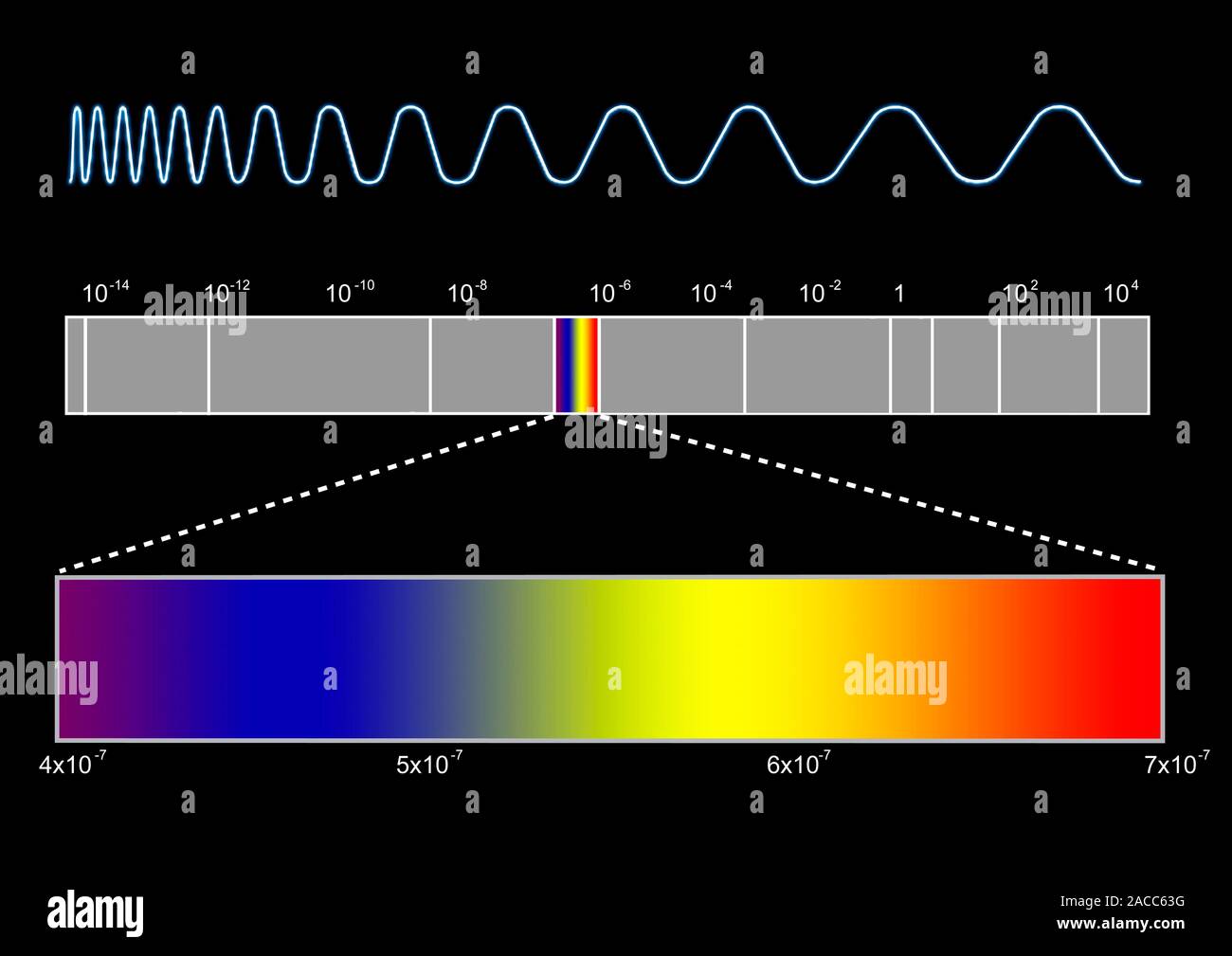 Electromagnetic spectrum. Computer artwork of the electromagnetic (EM ...