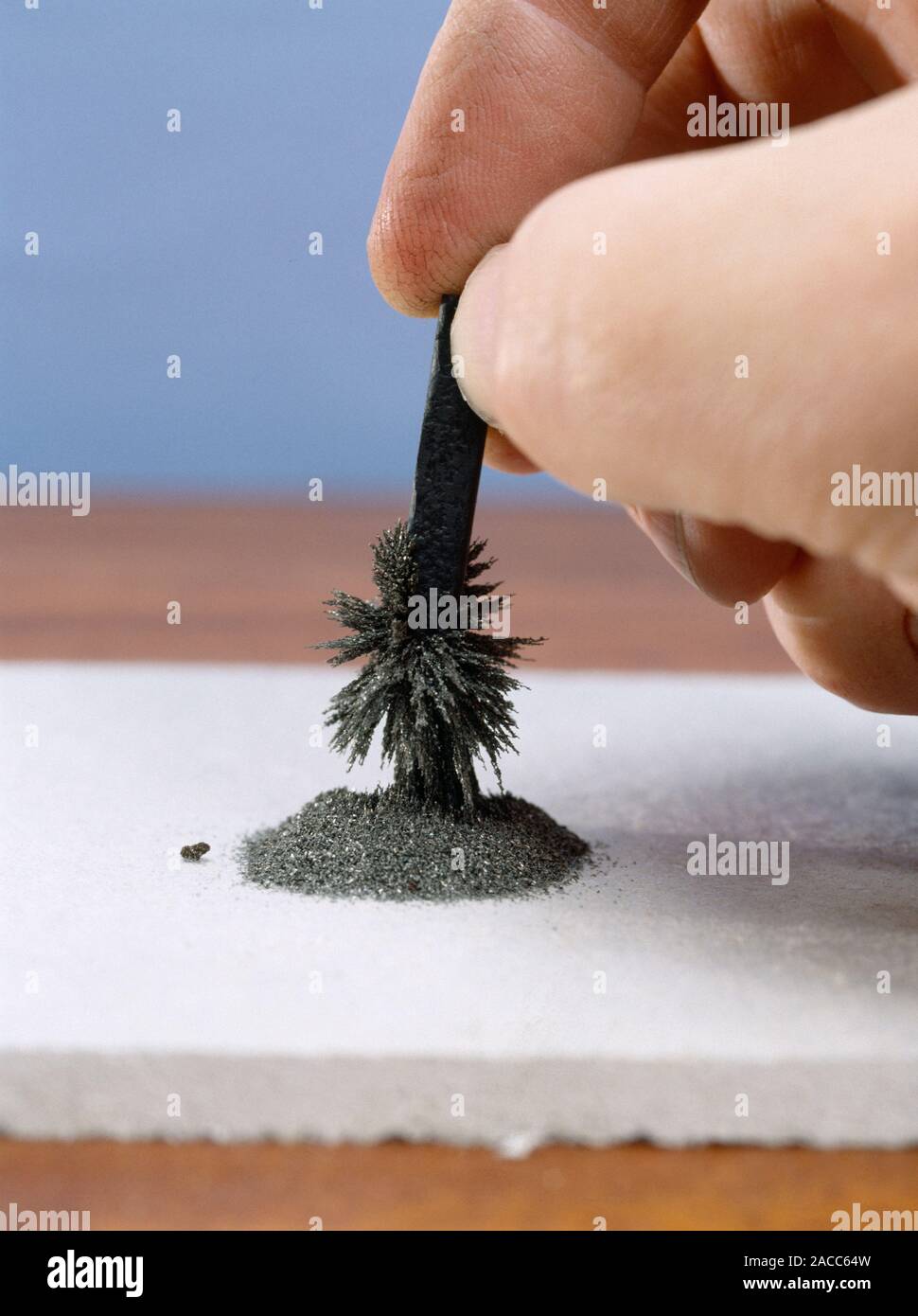 Image 1 of 3. Iron filings being attracted to a bar