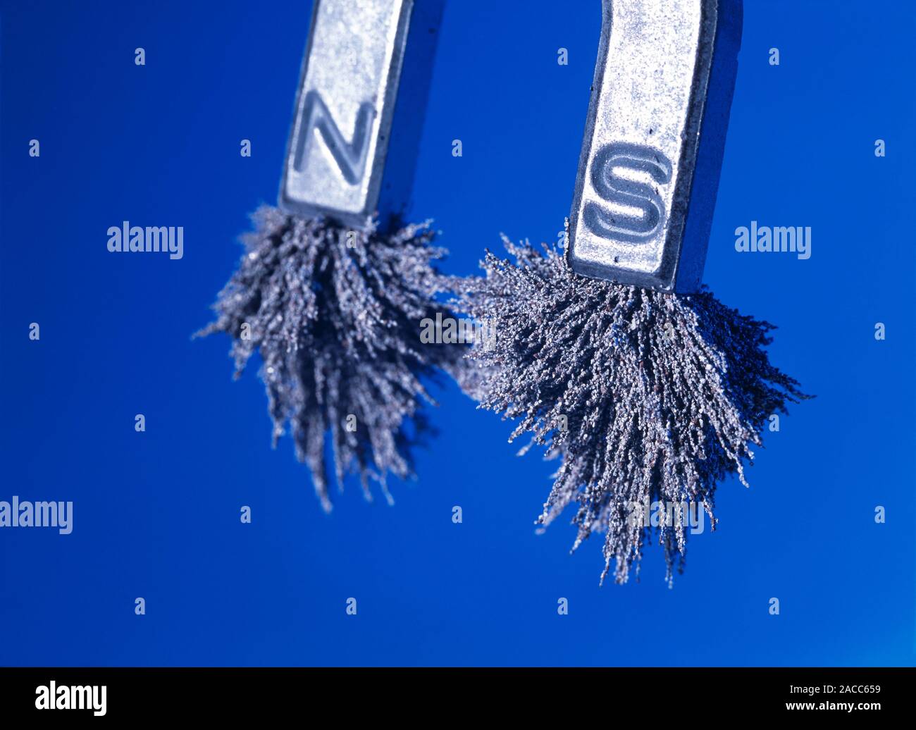 Iron filings being attracted to a horseshoeshaped