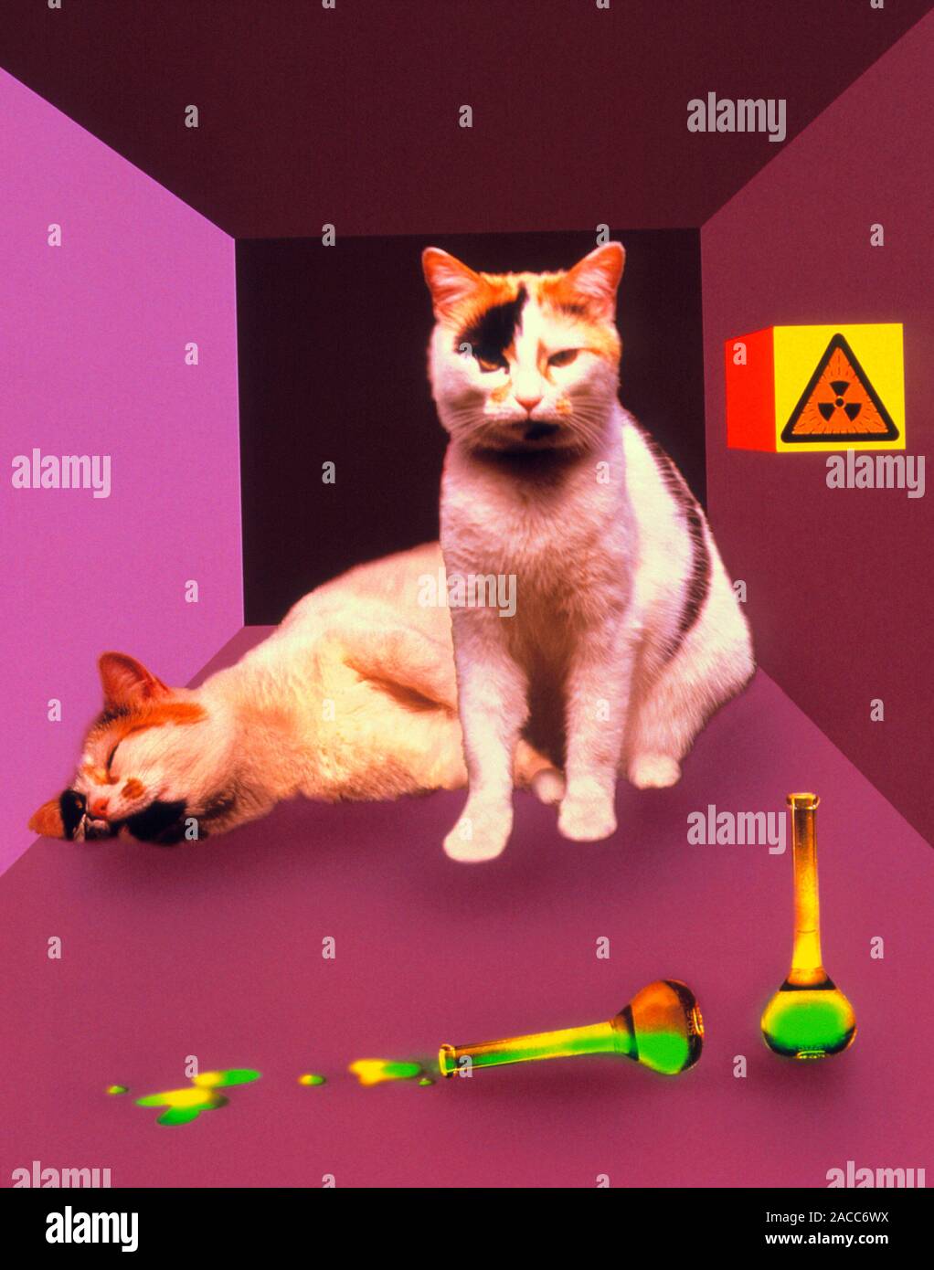 Schrodinger's Cat. Computer Graphic Depicting The Famous Schrodinger's ...