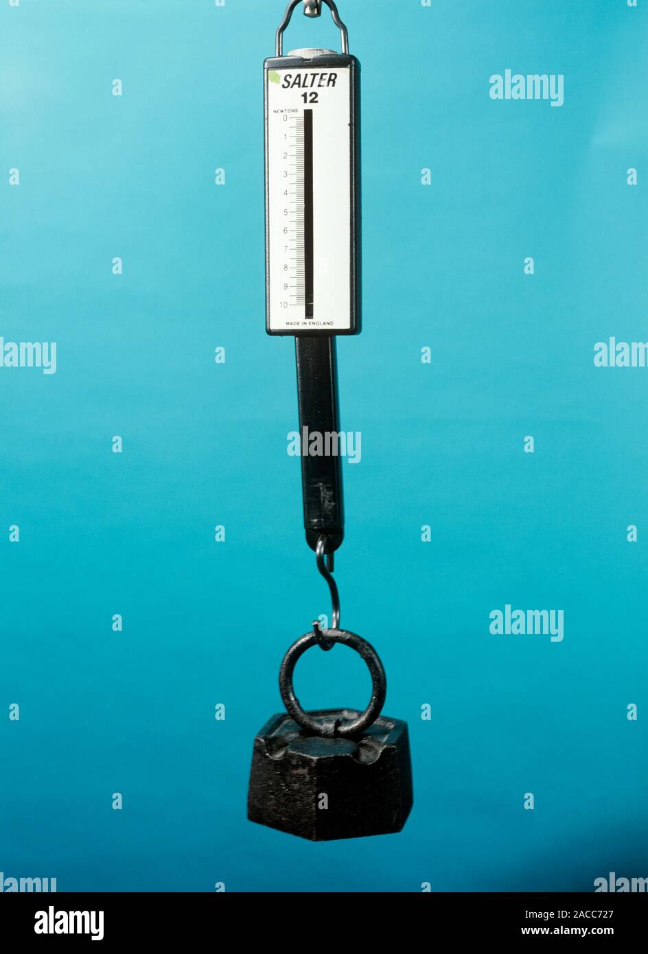 Mass and weight. One kilogram mass being weighed on a newtonmeter. Mass