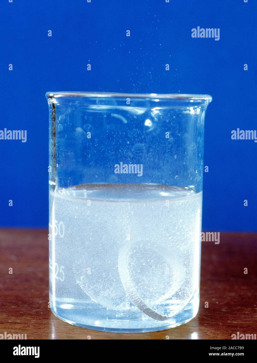 Magnesium reacting with acid. Strip of magnesium metal (Mg) reacting