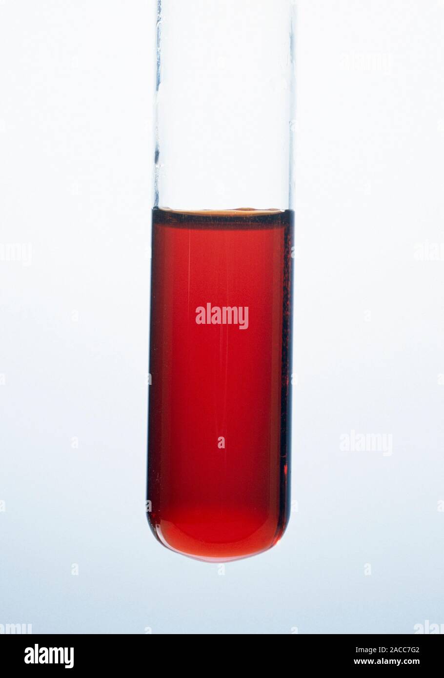 Oxidation reaction. Experiment showing the formation of ferric