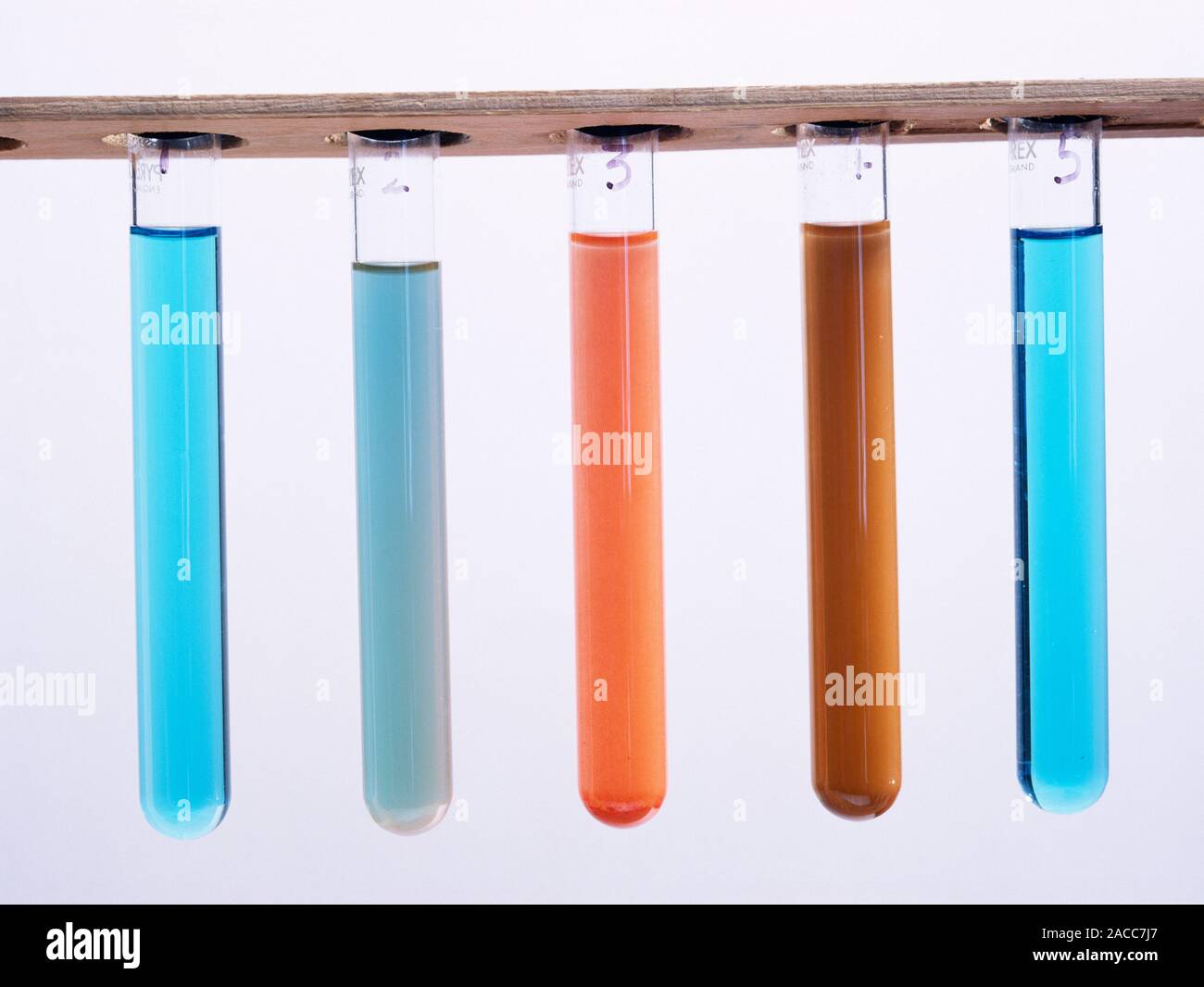 Fehling's test for sugars. Five test tubes showing the colour changes