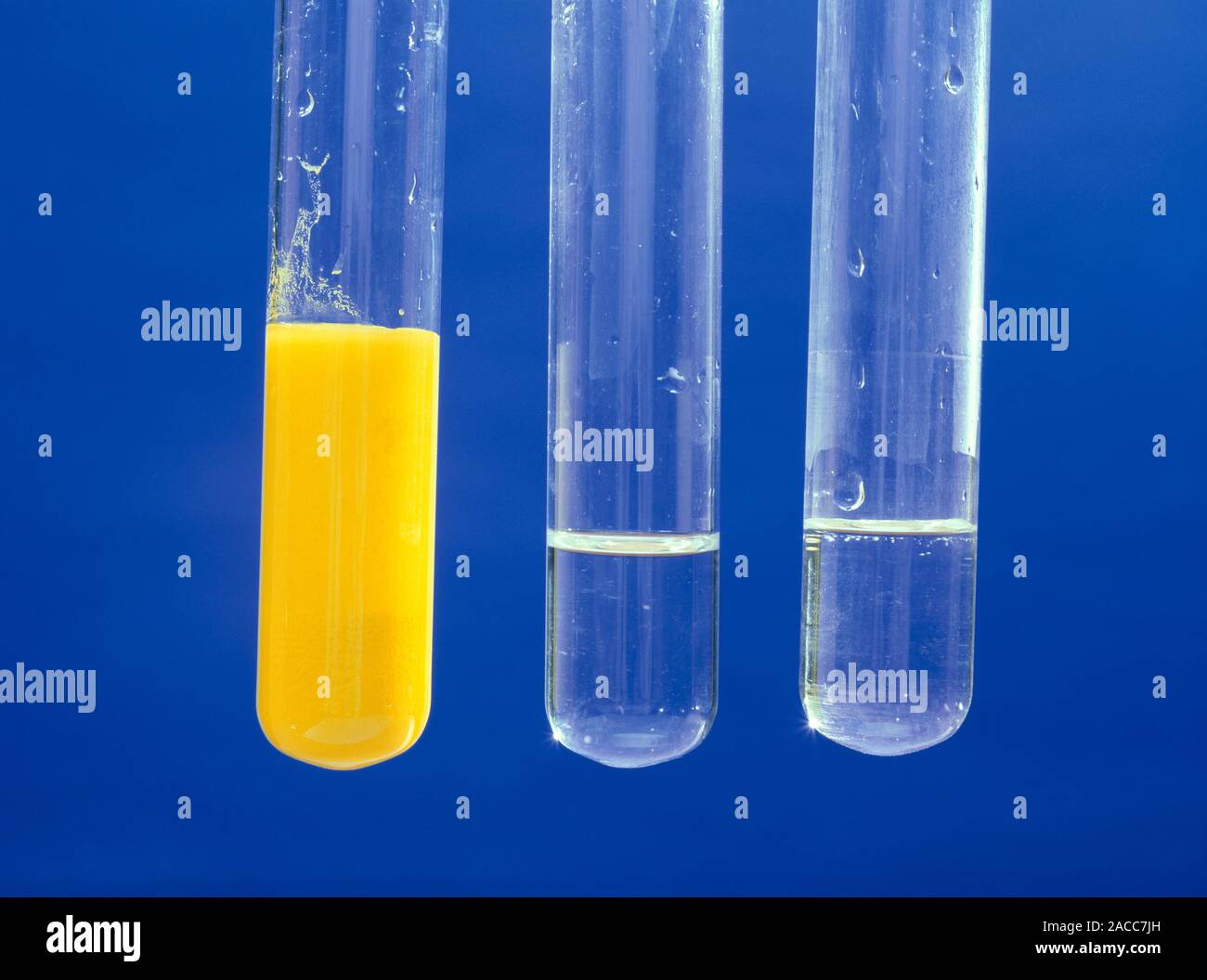 Lead iodide precipitate (yellow), the product of a reaction between
