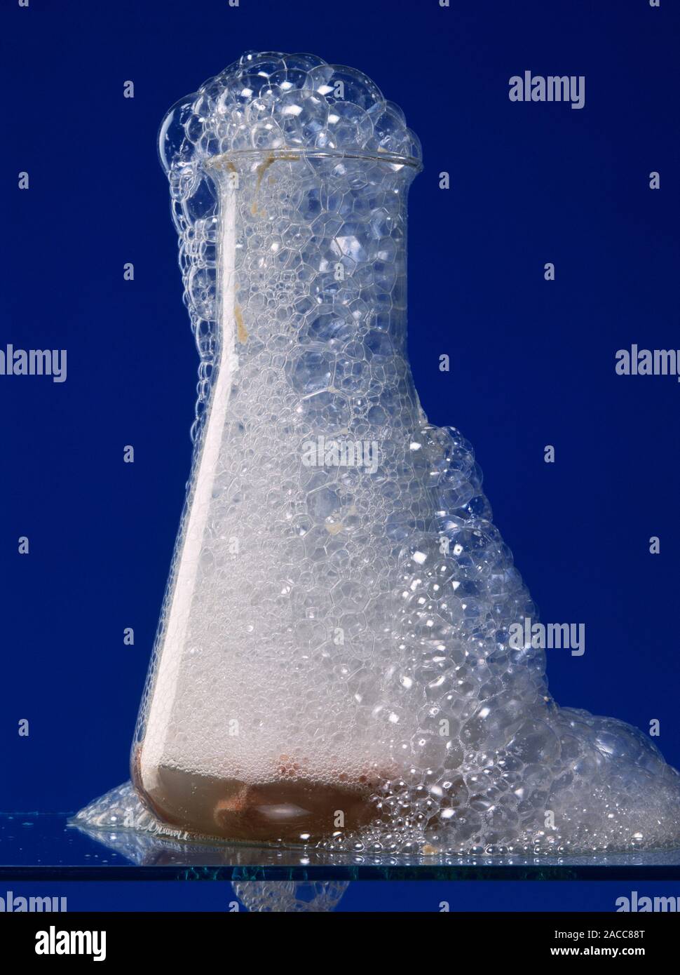 Action of catalase enzyme. Hydrogen peroxide (H202) being