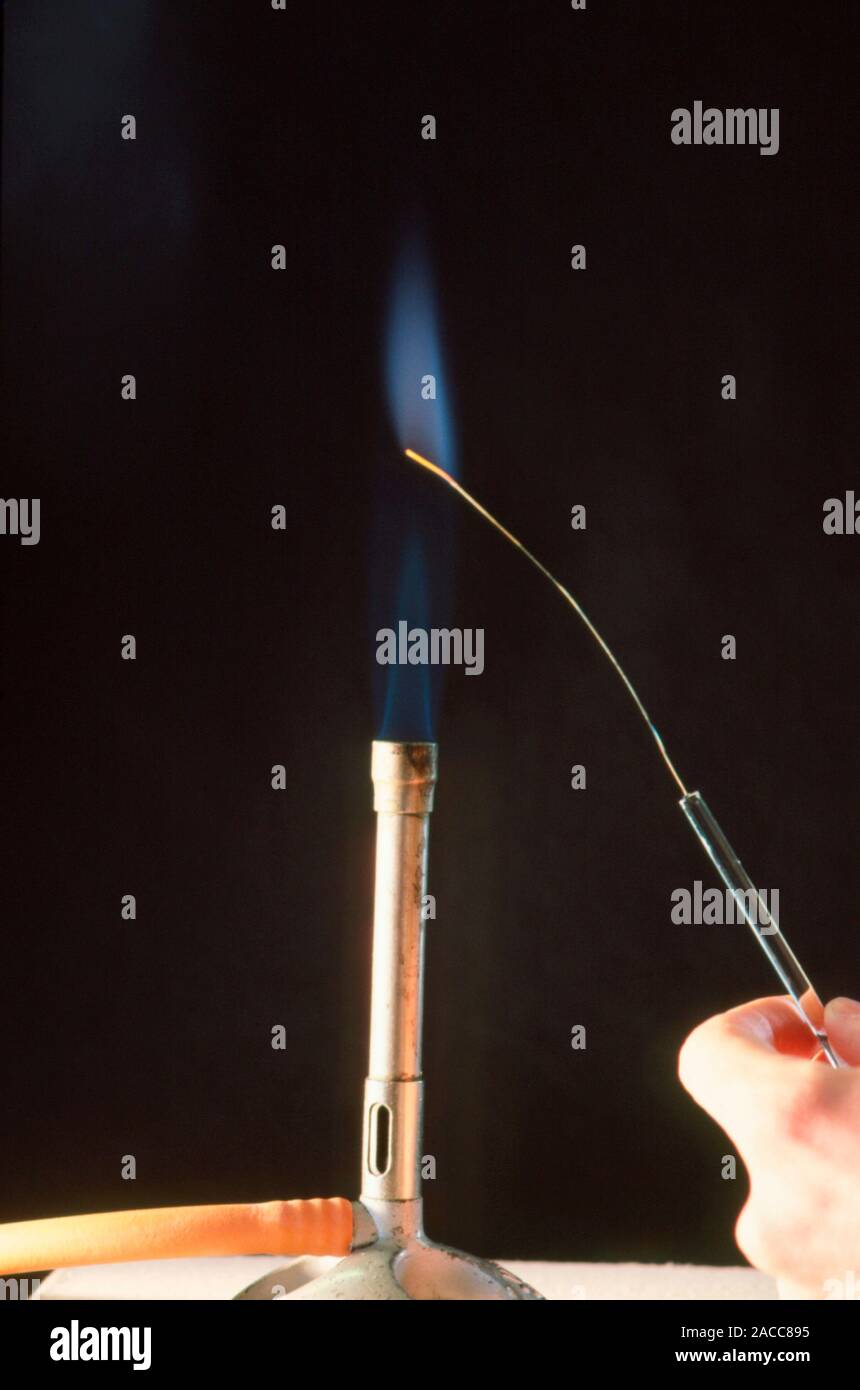 Potassium metal flame test a clean nichrome wire is dipped into a