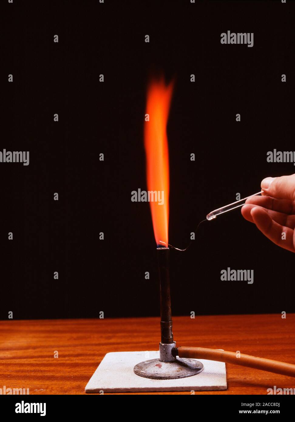 Flame test. Strontium burning in the flame of a bunsen burner producing a  red flame. The colour of the flame is caused by electrons that have been  exc Stock Photo - Alamy