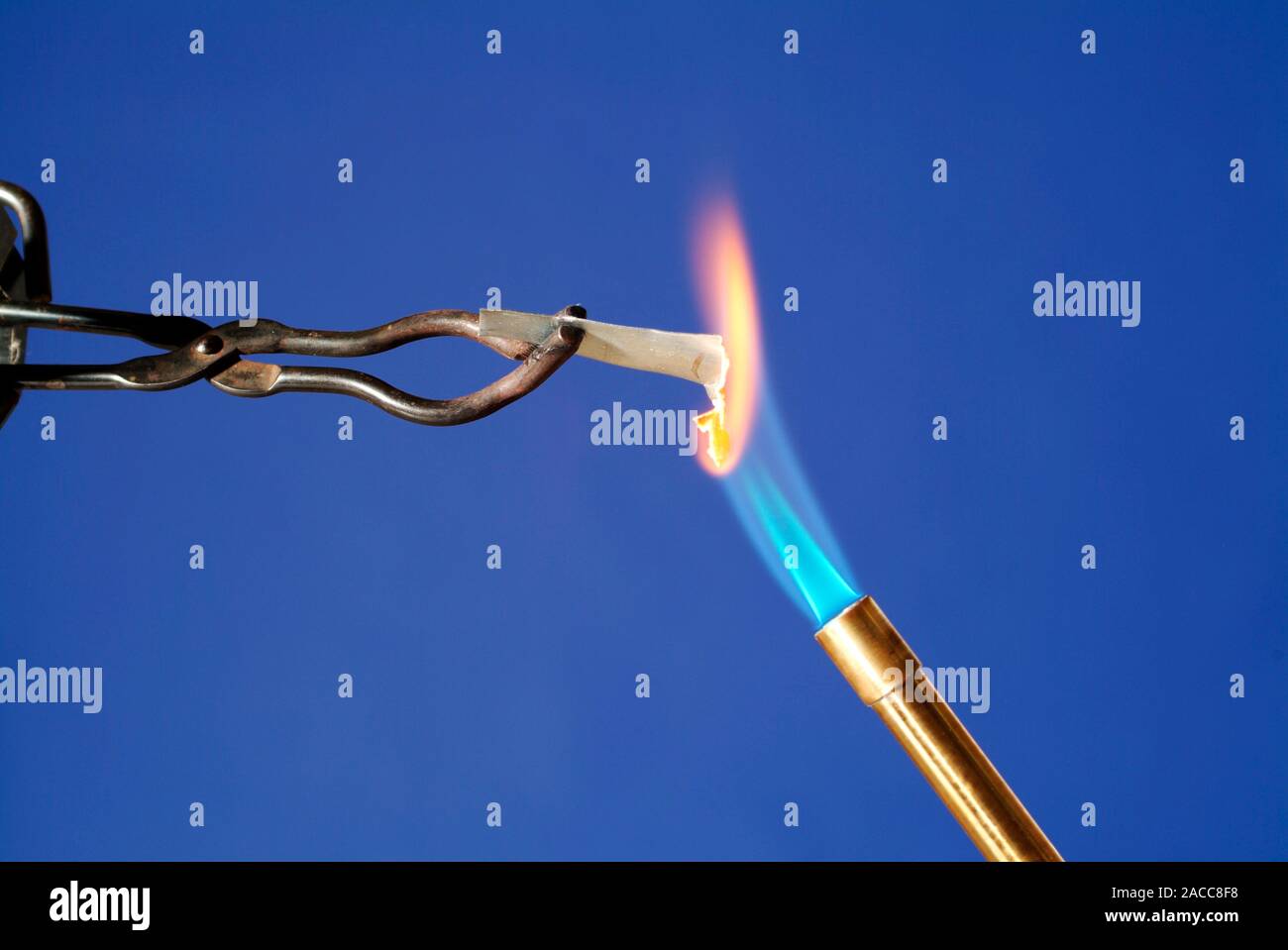 Heating zinc in a flame. In the hot blue flame of a bunsen burner, zinc