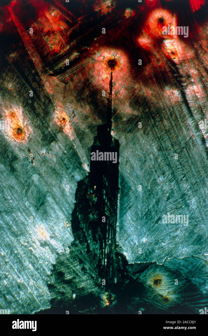 Polarised light micrograph of resorcinol crystals. Resorcinol is the