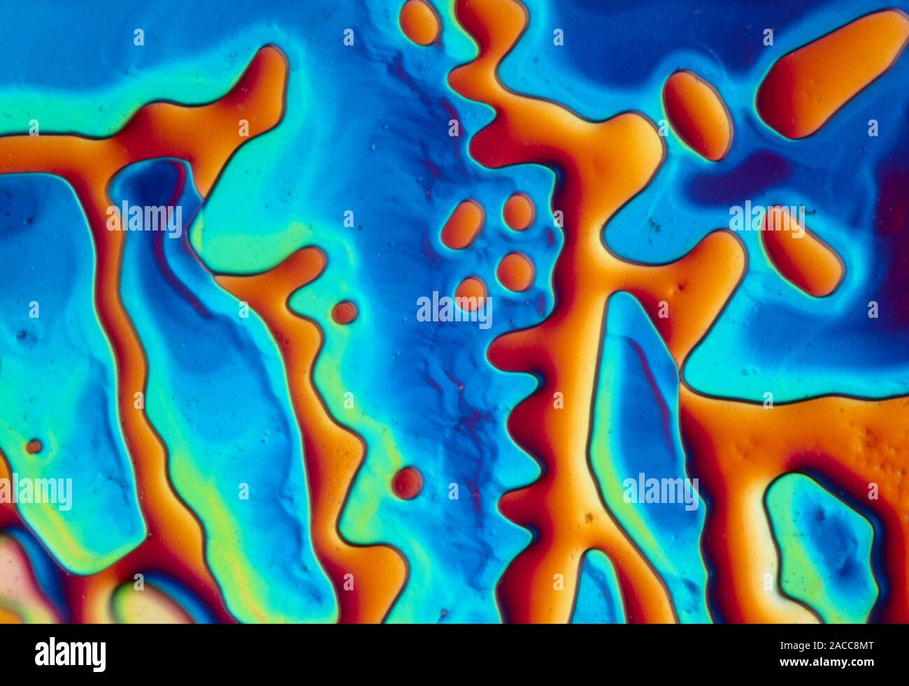 Light micrograph of melted silver nitrate crystals. Silver nitrate is used in photography and as