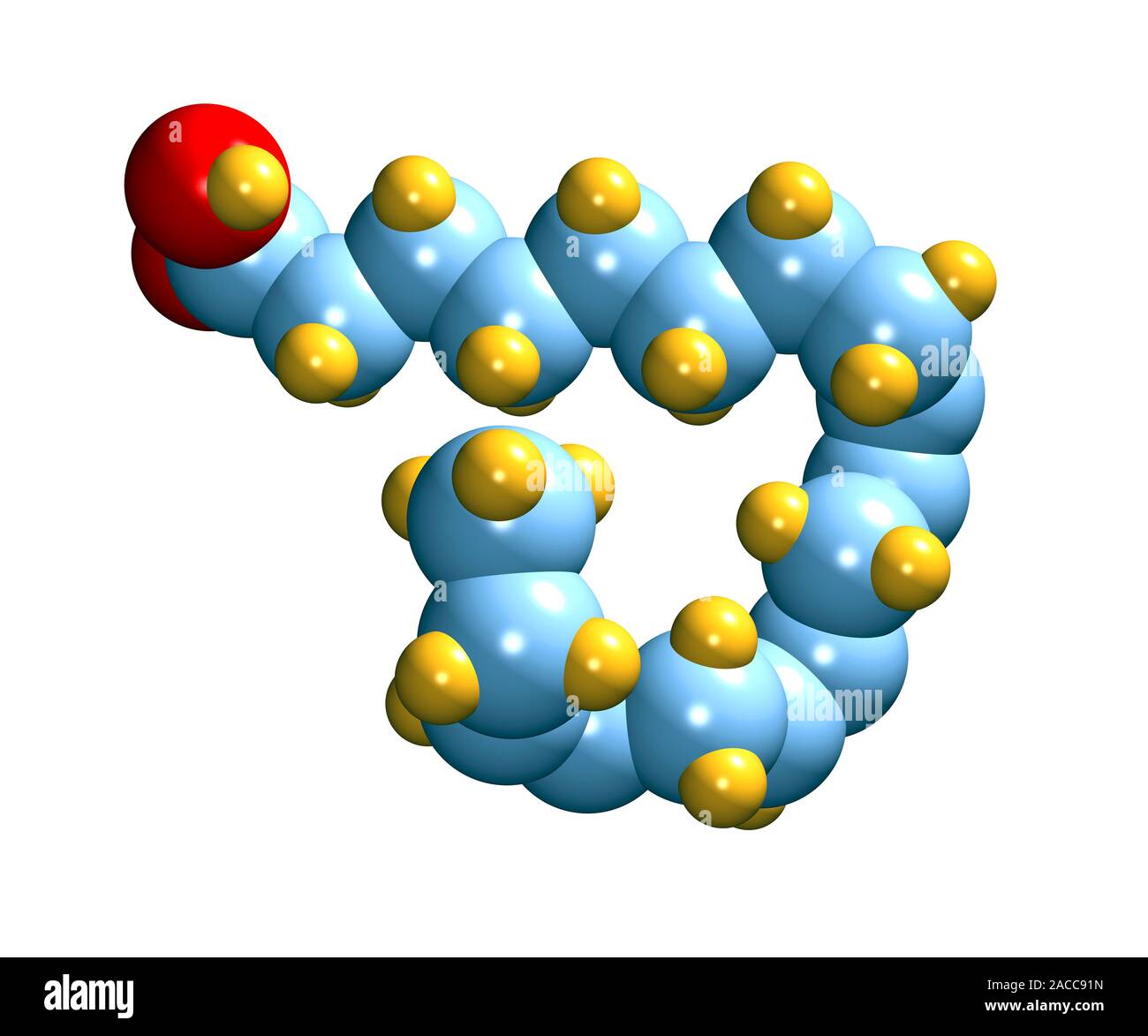 Alphalinolenic acid. Computer model of a molecule of alphalinolenic