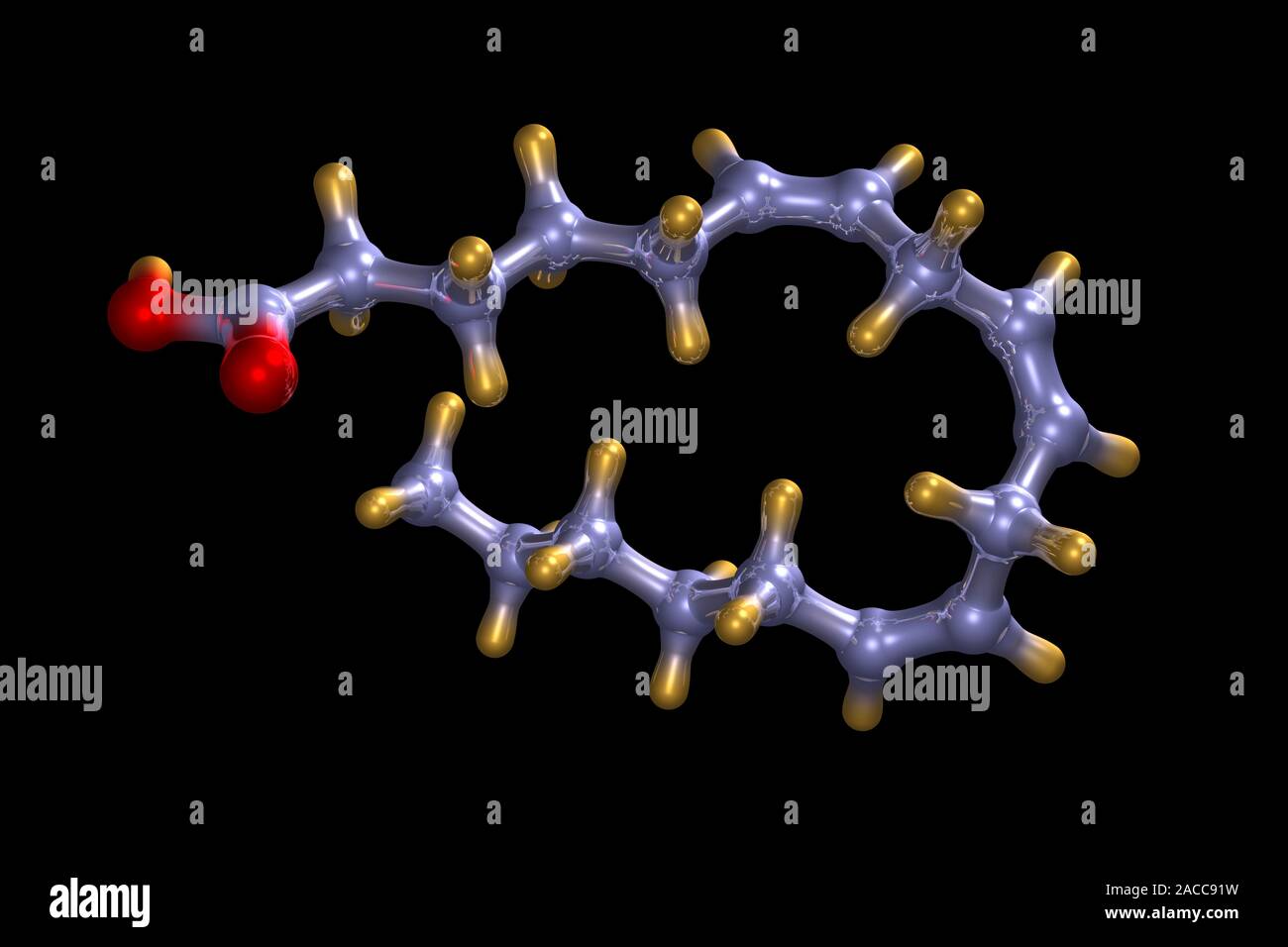 Gammalinolenic acid. Computer model of a molecule of gammalinolenic