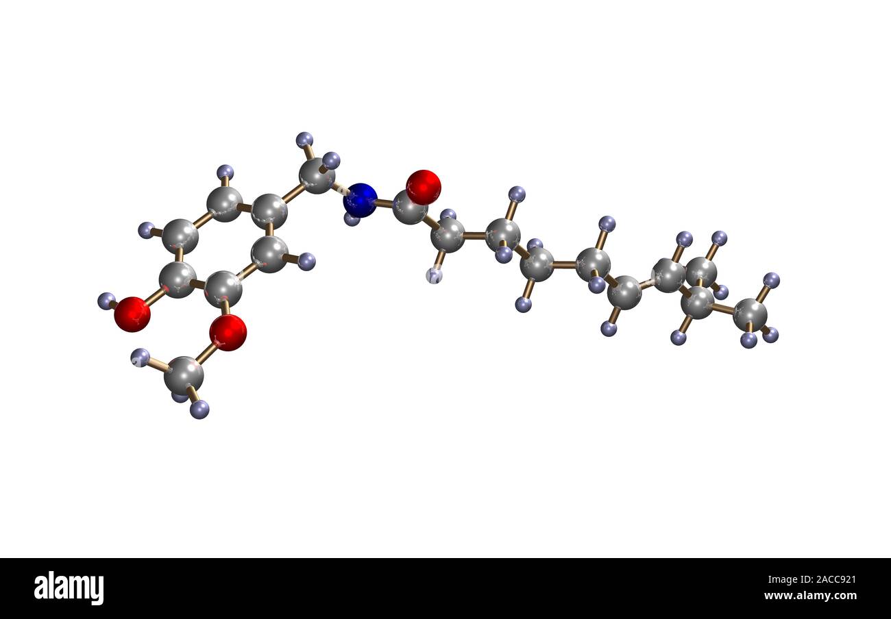 Capsaicin. Computer model of a molecule of capsaicin, the chemical that ...