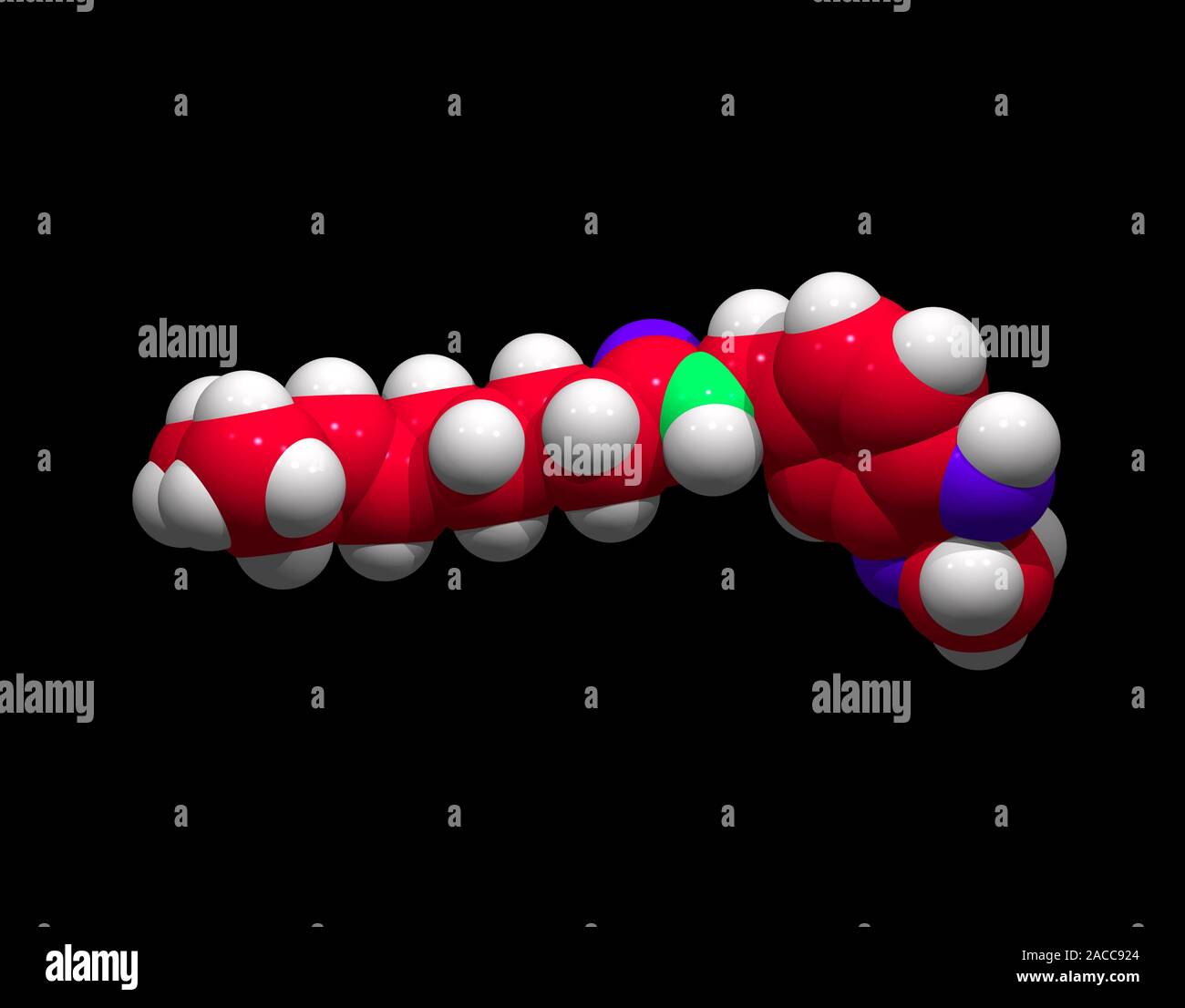 Capsaicin, computer model. Atoms are represented as spheres and are ...