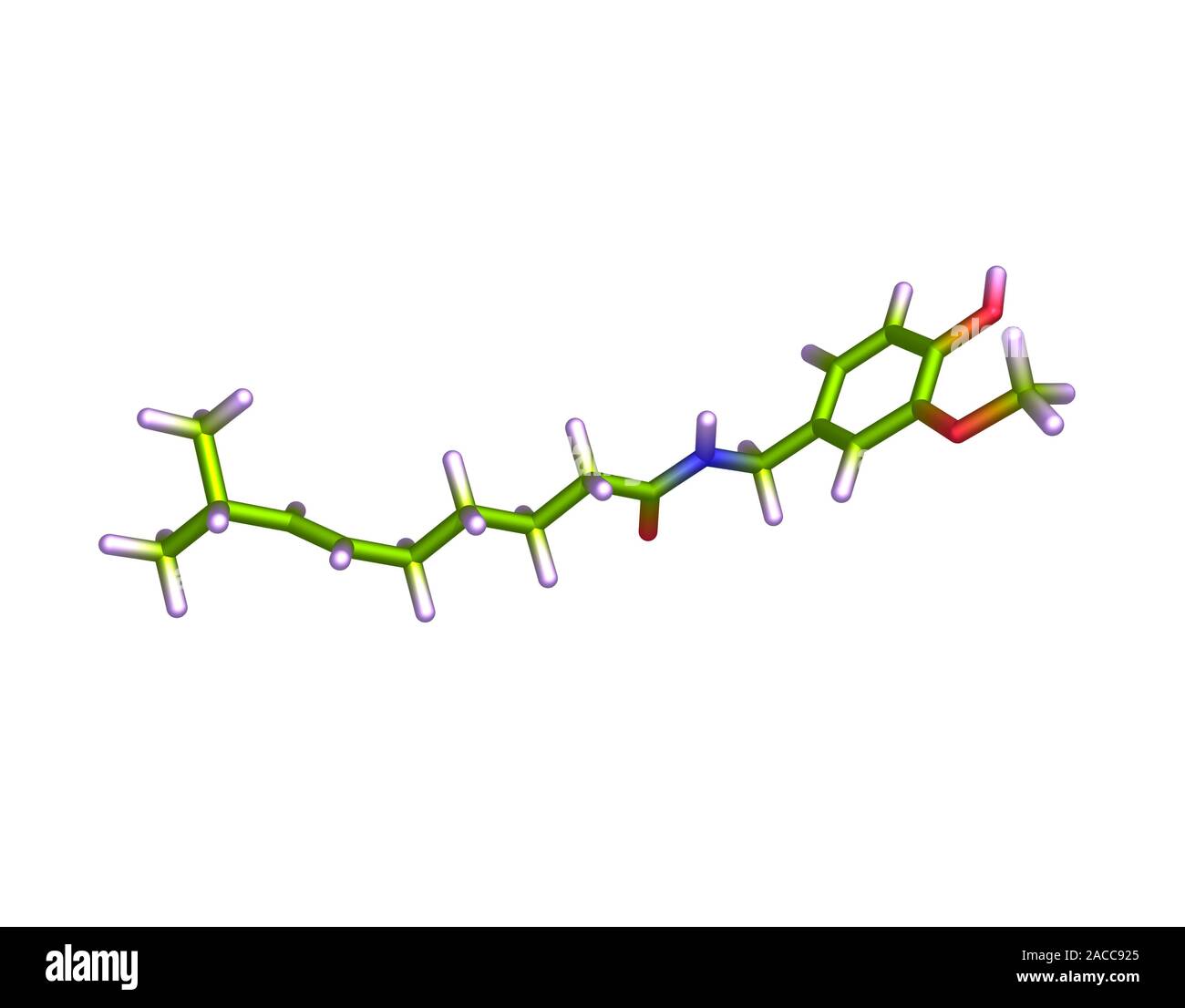 Capsaicin, computer model. Atoms are represented as rods and are colour ...