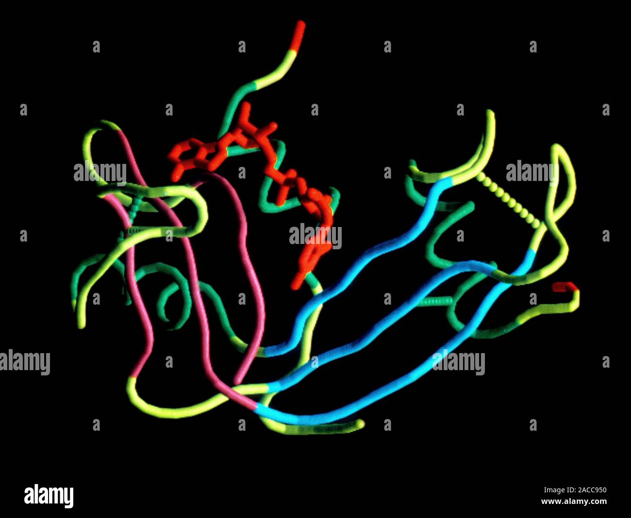 Ribonuclease. Molecular computer graphic showing the structure of the