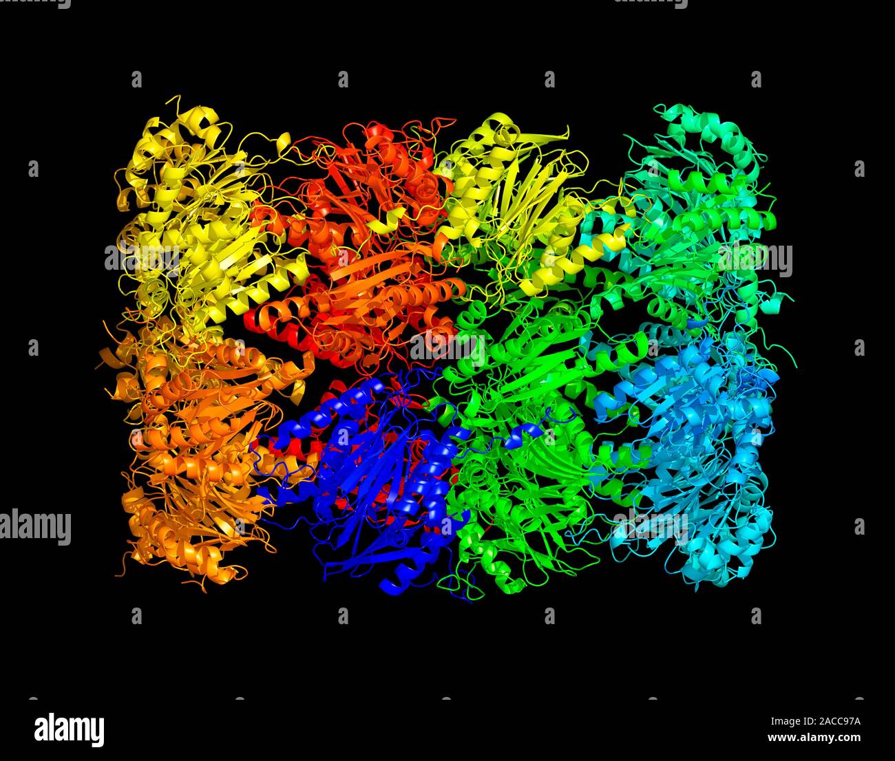 Yeast enzyme. Molecular model of an enzyme from Saccharomyces