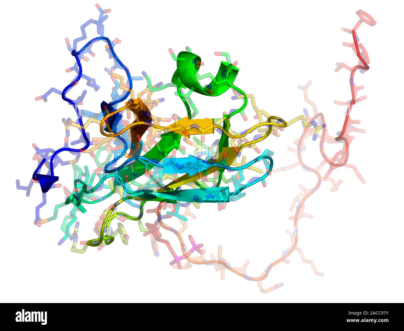 dUTPase enzyme. Molecular model of the enzyme dUTP pyrophosphatase