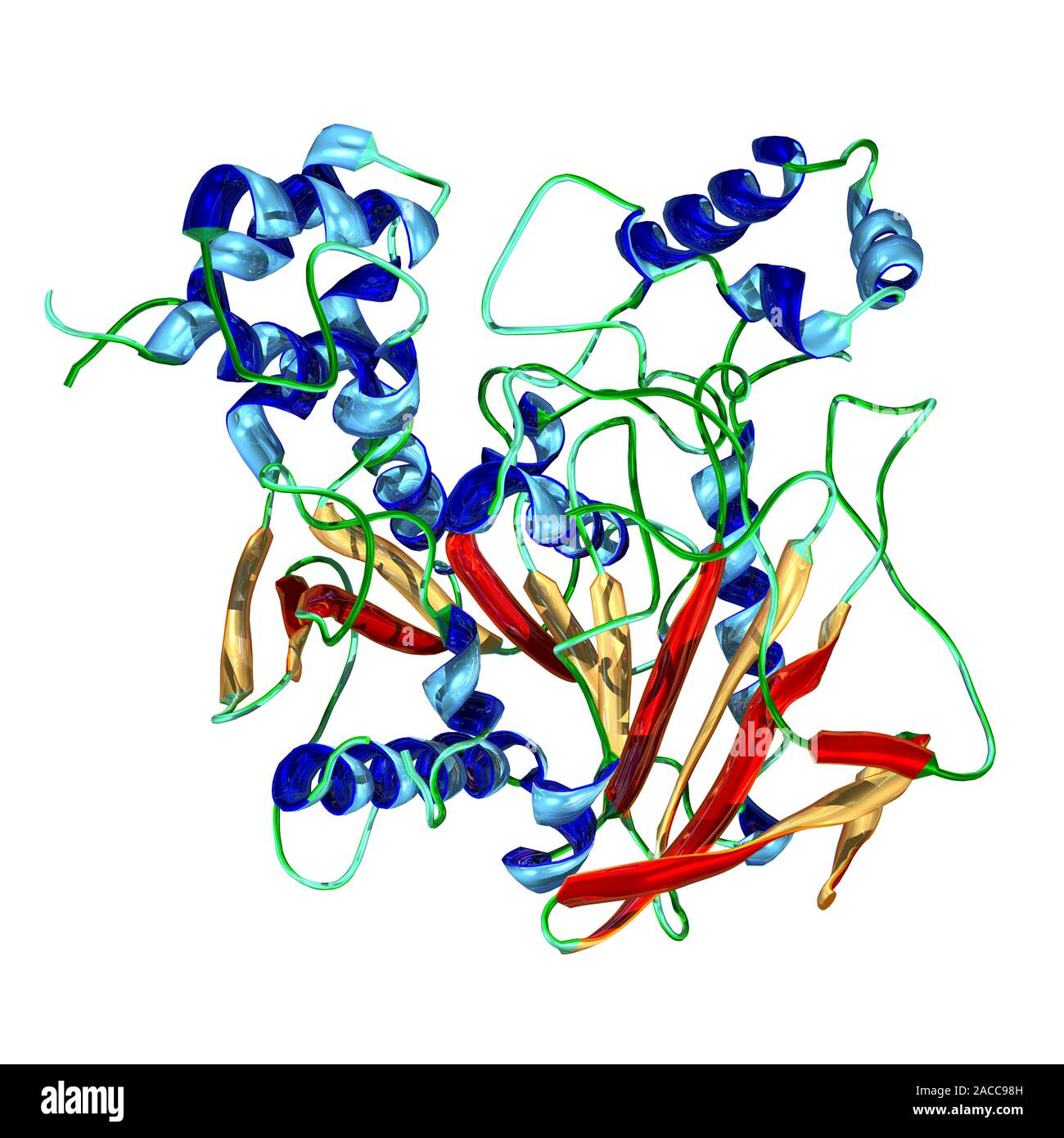 Биохимия крови цыплят бройлеров показатели. Нормы биохимического анализа крови у кошек. Цирроз печени биохимический анализ крови. Показатели биохимии крови в норме у собак. Псевдохолинэстераза биохимия.