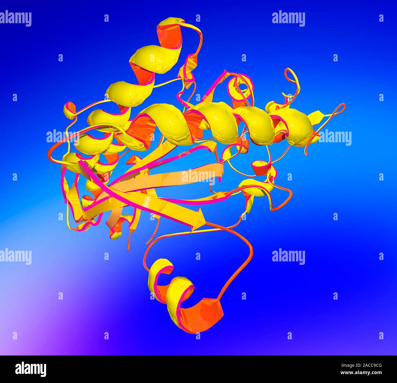 Creatine. Computer model of the molecular structure of the amino acid creatine. The molecule