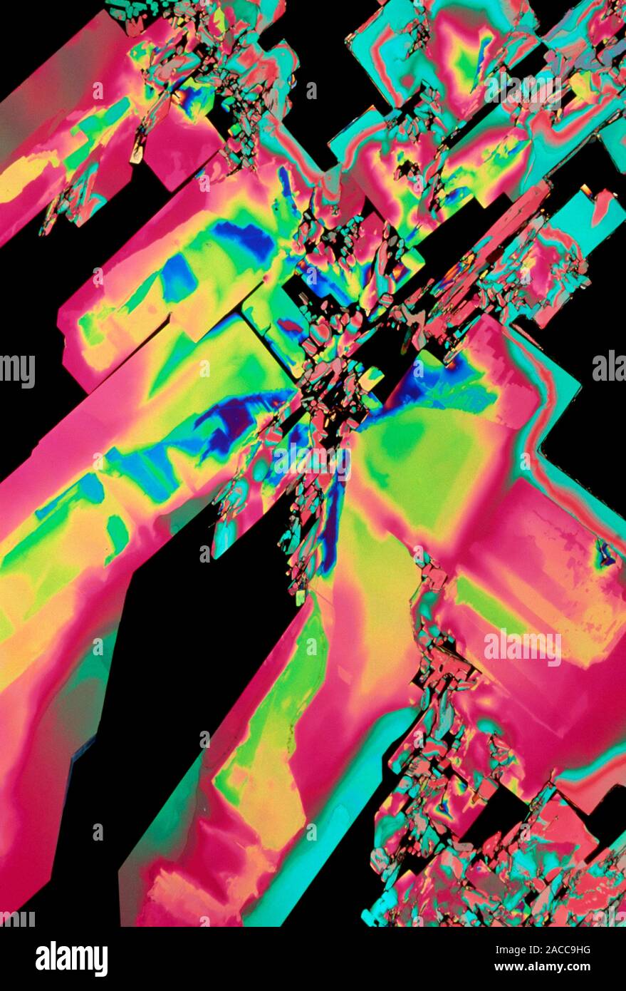 Vitamin B6. Polarised light micrograph of crystals of pyridoxine