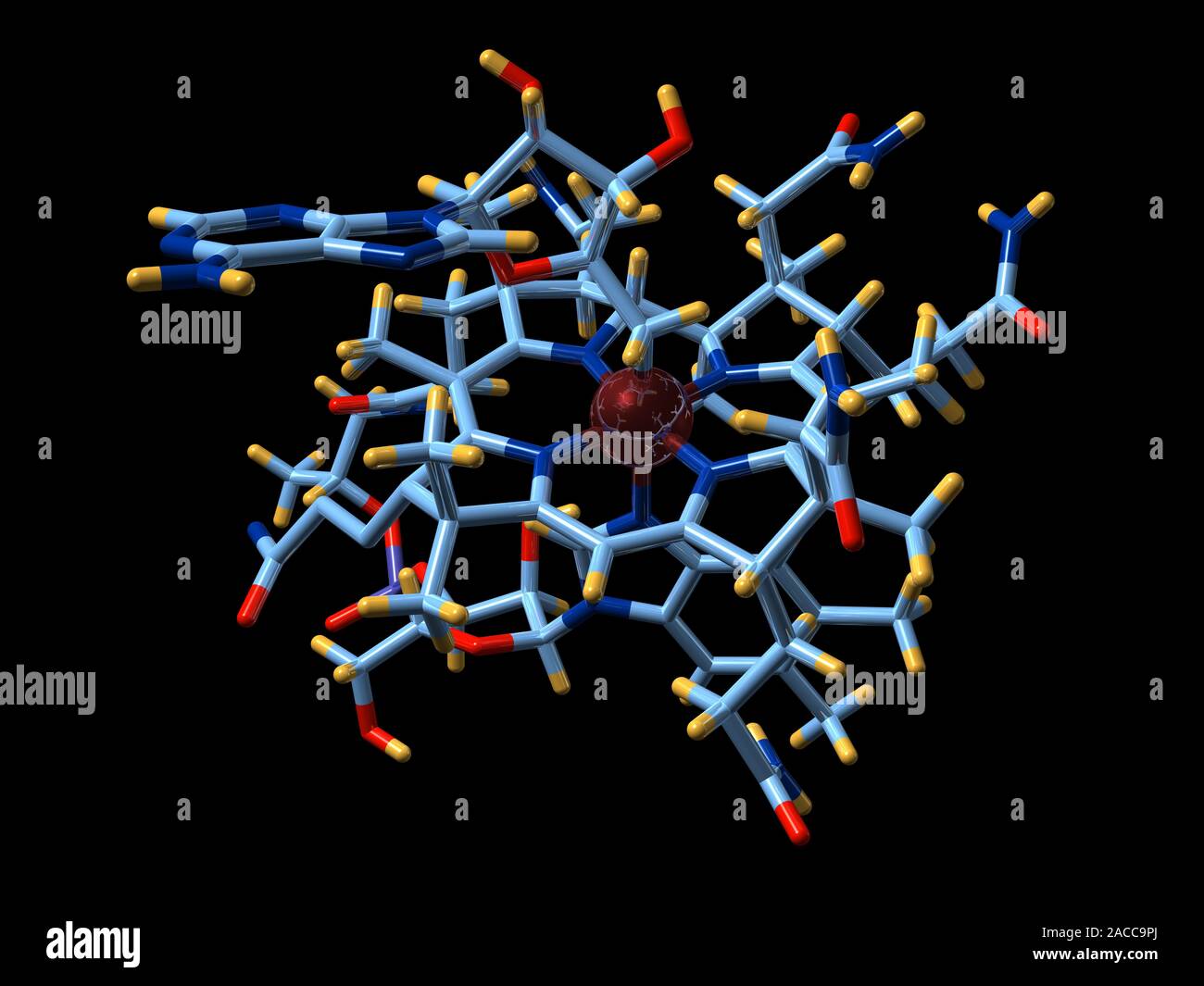 Vitamin B12 and coenzyme. Molecular model of vitamin B12 in its