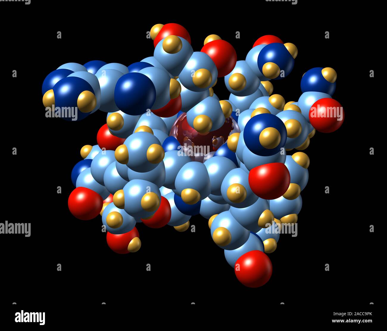 Vitamin B12 and coenzyme. Molecular model of vitamin B12 in its