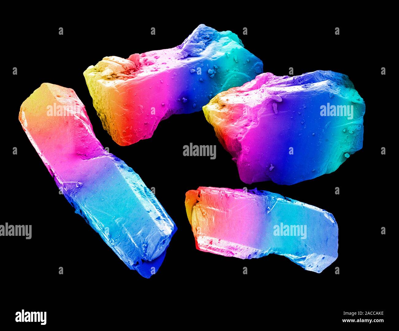 Cocaine. Coloured scanning electron micrograph (SEM) of crystals of ...