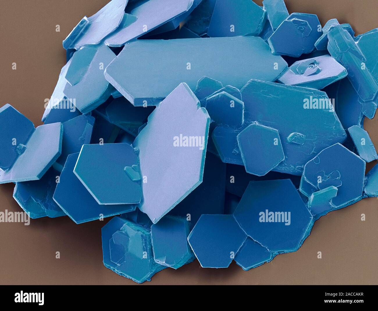 Aspirin crystals, coloured scanning electron micrograph (SEM). Aspirin