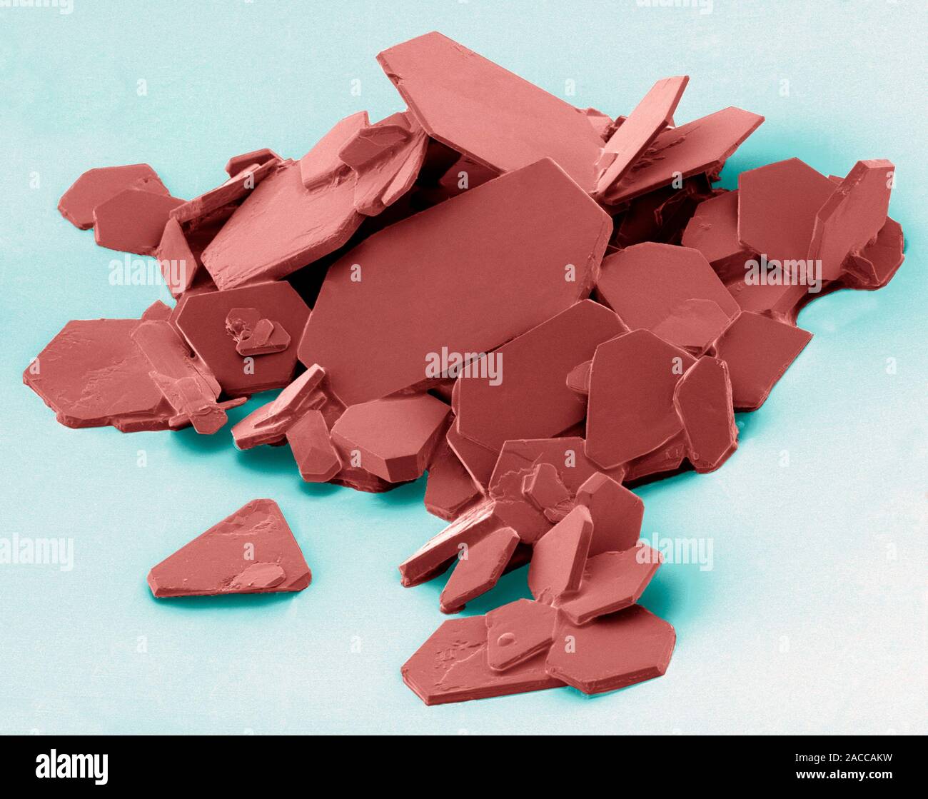 Aspirin crystals, coloured scanning electron micrograph (SEM). Aspirin