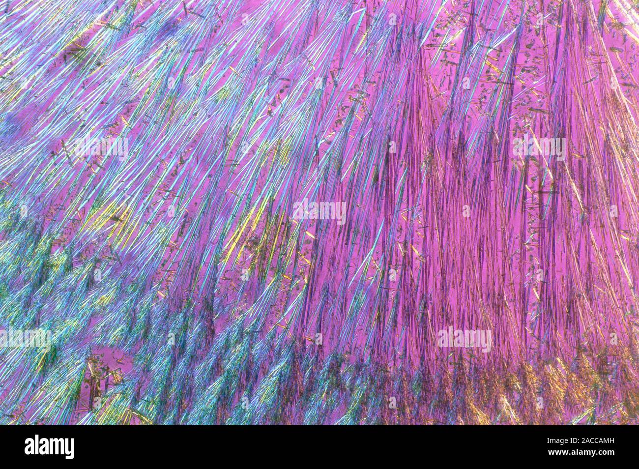 Amphetamine Rocks Amphetamine drug crystals. Polarised light micrograph of crystals of ...