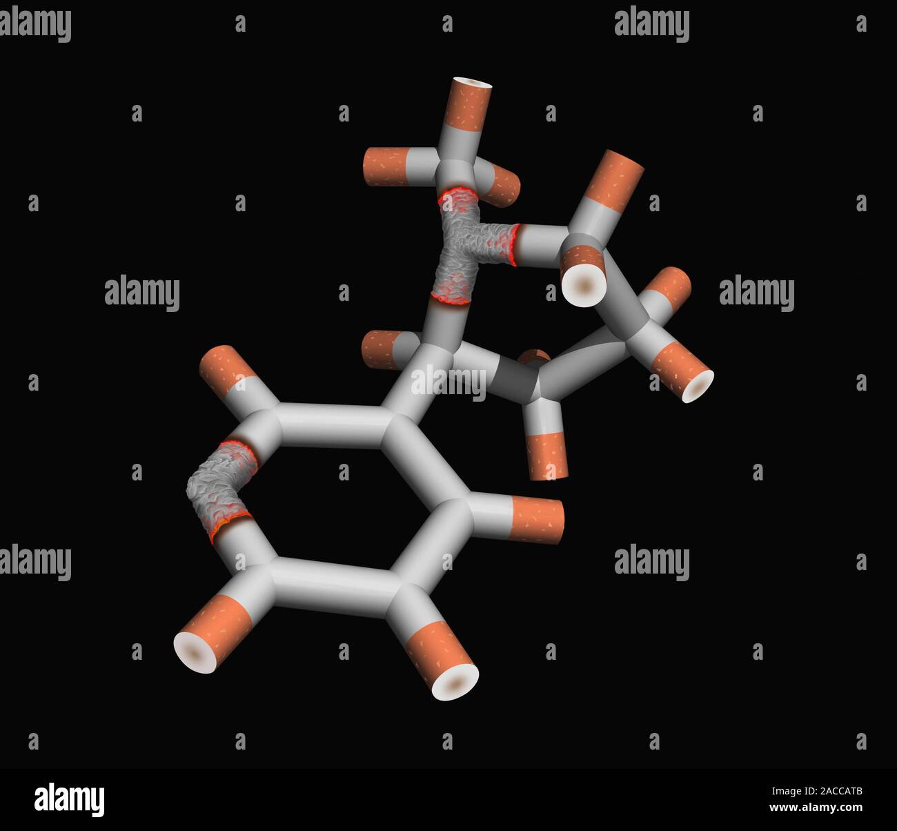 what is the addictive drug found in tobacco Nicotine. Molecular graphic of nicotine, an addictive alkaloid drug found  in tobacco. The molecule is represented here as cigarettes. Nicotine  (formul Stock Photo