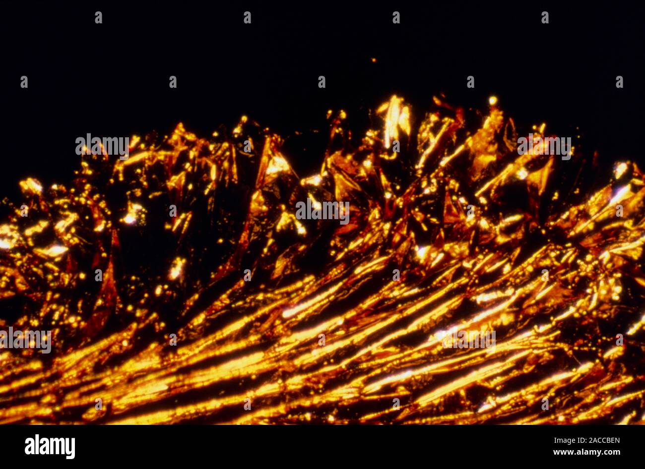 Polarised light micrograph of gold leaf. Magnification x14 at 35mm