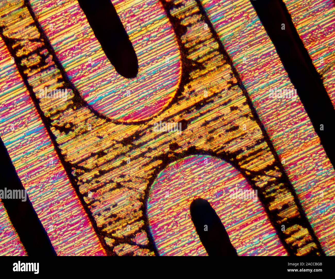 Light micrograph of the surface of a platinum rhodium catalytic