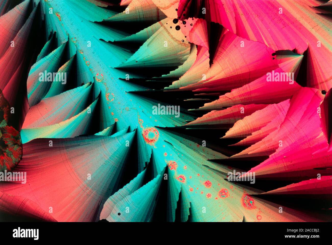 Polarised light micrograph of crystals of sulphur. Sulphur is a yellow