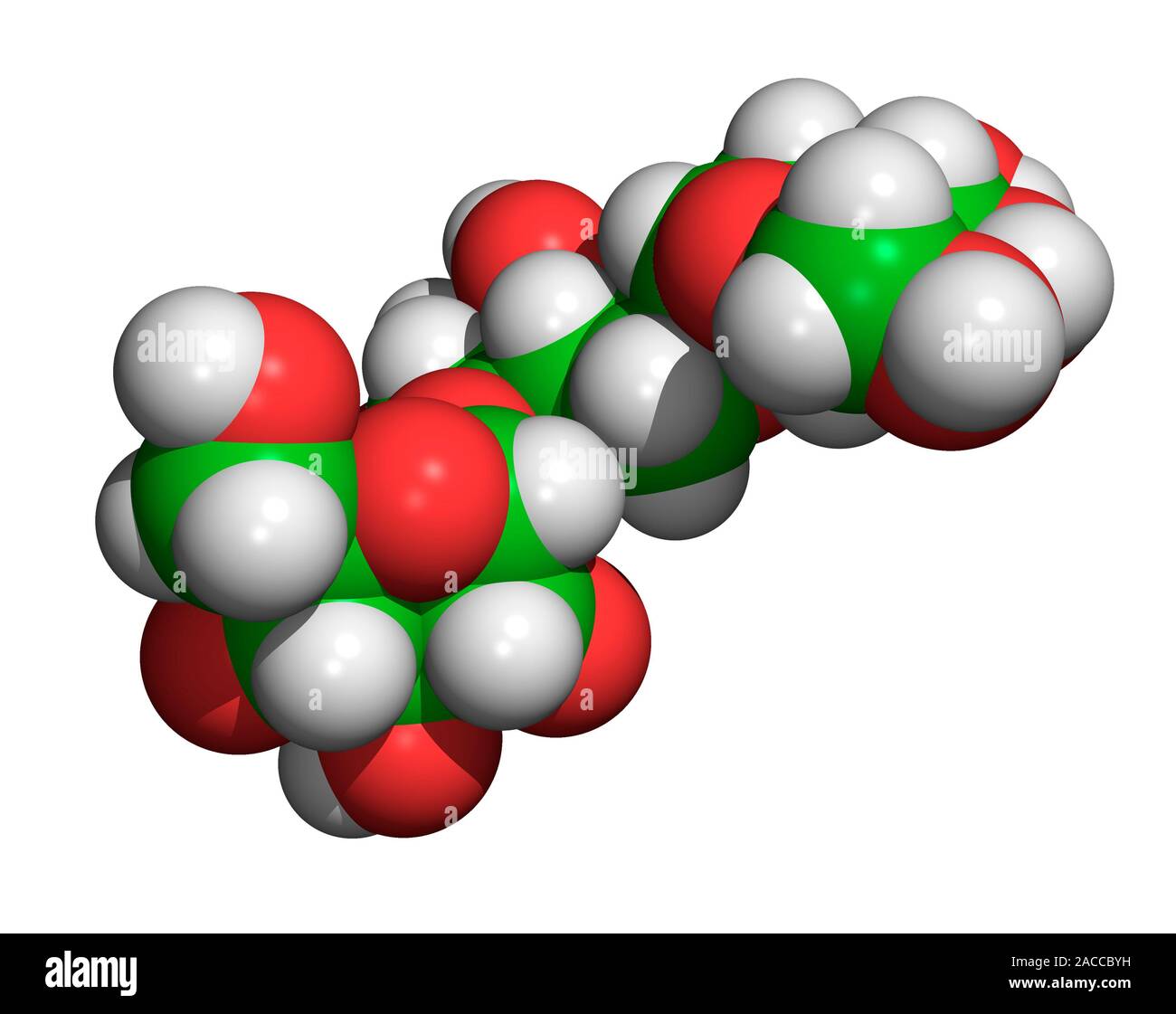 Amylopectin. Computer-generated molecular model of amylopectin. Amylopectin is composed of carbon (green), hydrogen (grey/white) and oxygen (red). Amy Stock Photo
