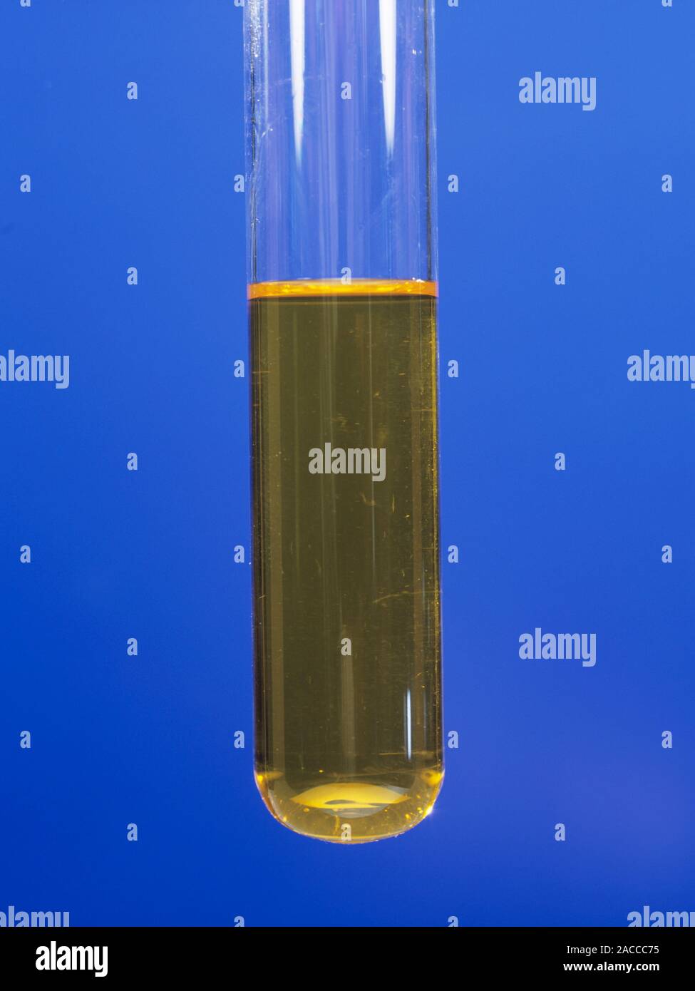 2 4 Dinitrophenylhydrazine DNP Tests For Aldehydes And 58 OFF