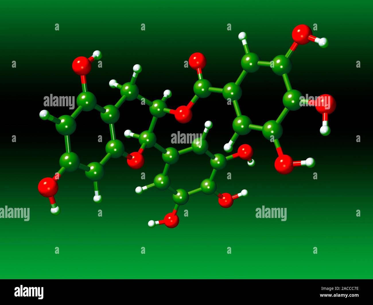 Green tea molecule. Computer model of a molecule of epigallocatechin ...