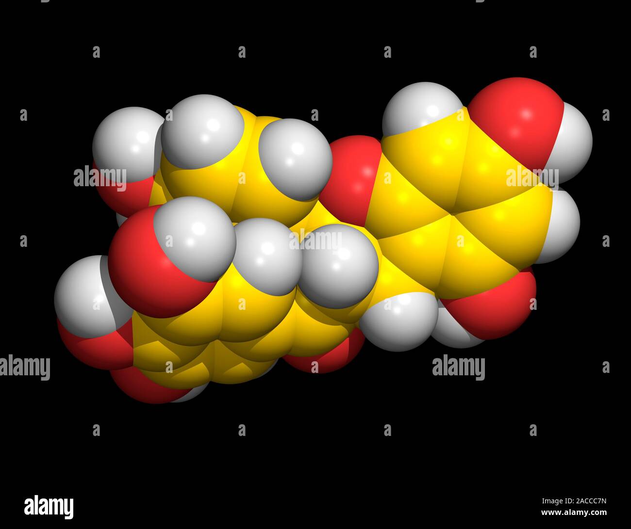 Green tea molecule. Molecular model of a molecule of epigallocatechin