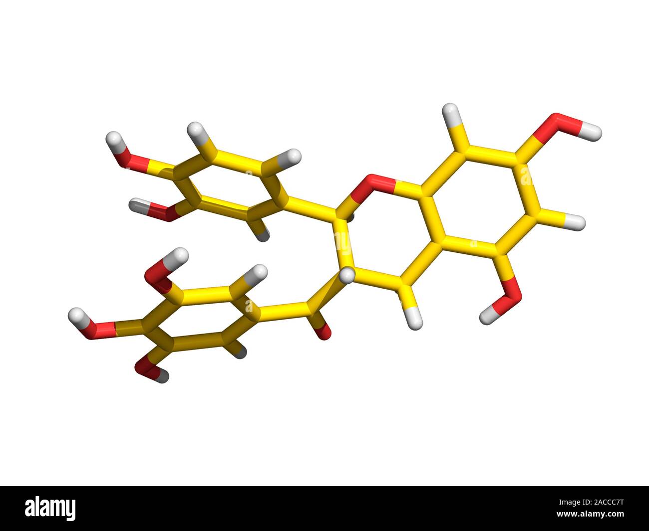 Green tea molecule. Molecular model of a molecule of epigallocatechin ...