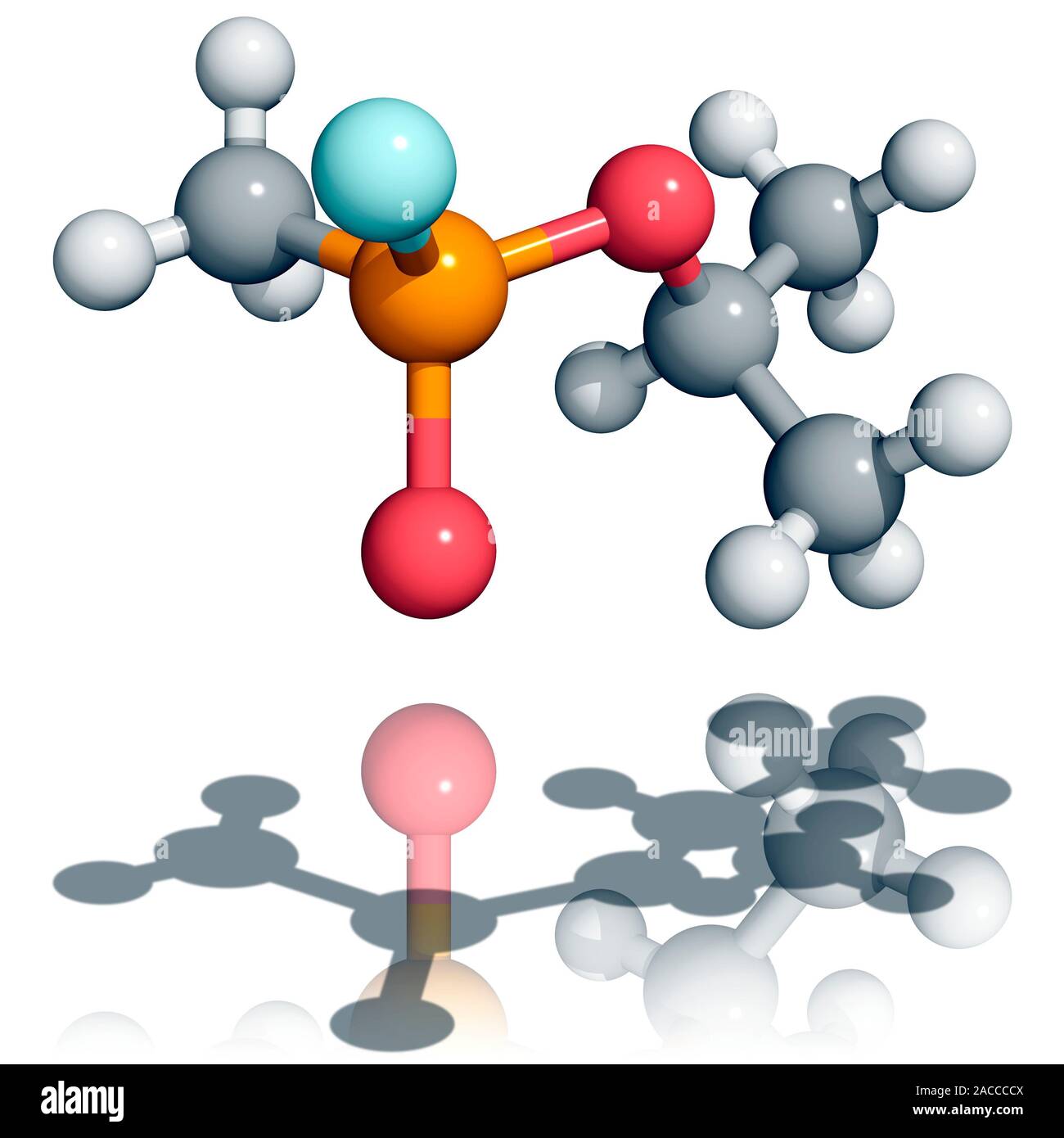 Sarin nerve agent molecule. Molecular model of the chemical weapon